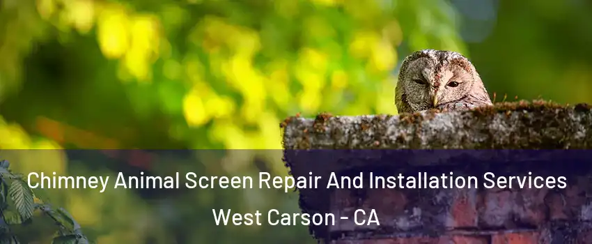  Chimney Animal Screen Repair And Installation Services West Carson - CA