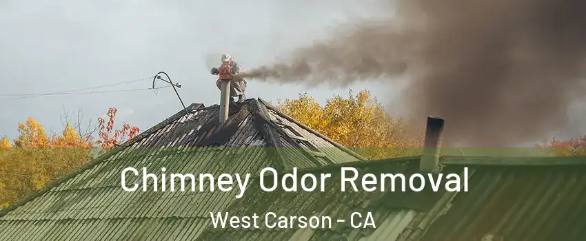  Chimney Odor Removal West Carson - CA