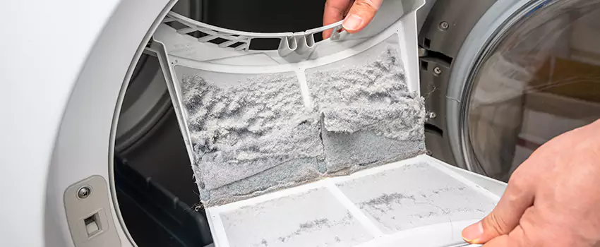 Best Dryer Lint Removal Company in West Carson, California
