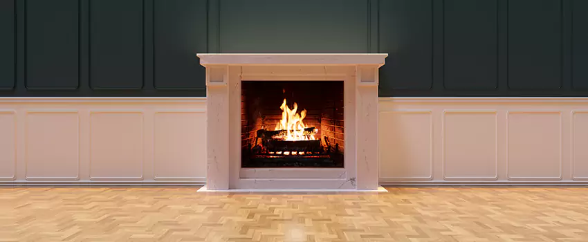Napoleon Electric Fireplaces Inspection Service in West Carson, California